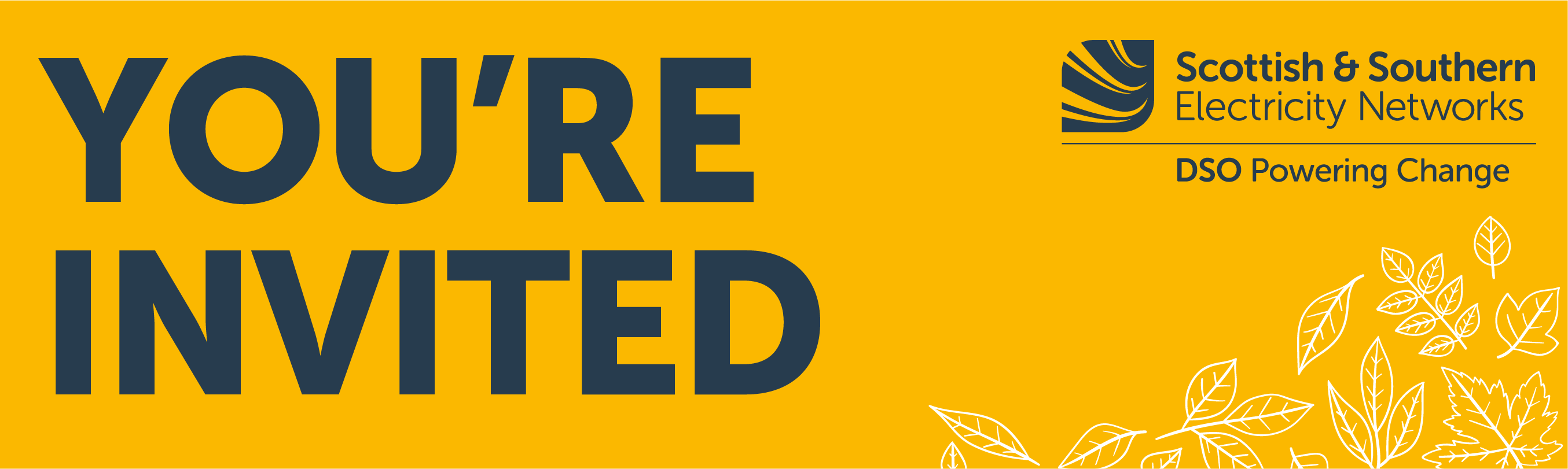 You're invited to our Autumn DSO series You're invited to our Autumn DSO series