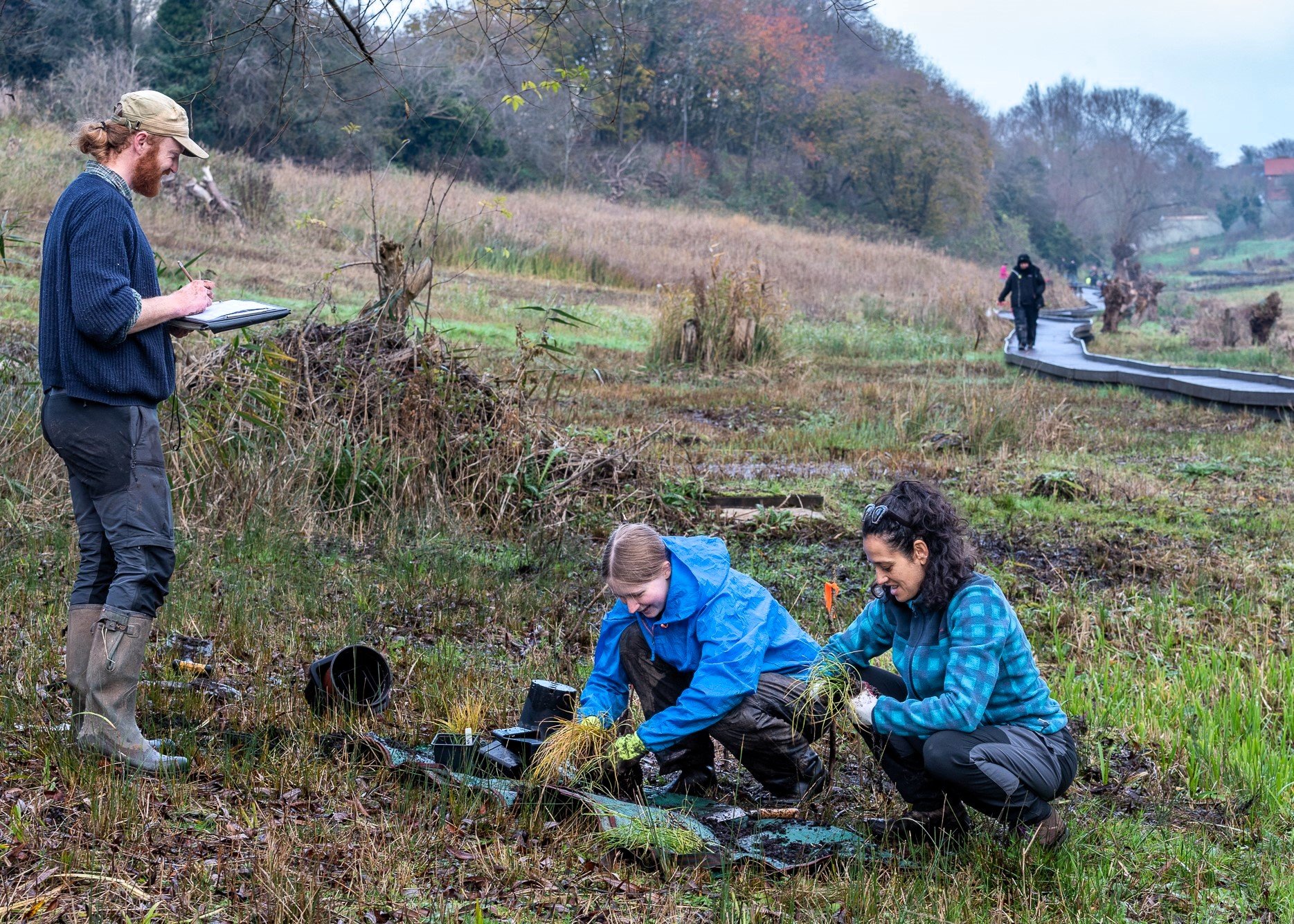 Freshwater Habitats workers planting in an alkaline fen in Oxfordshire. Photograph courtesy of Dr Tony Gillie