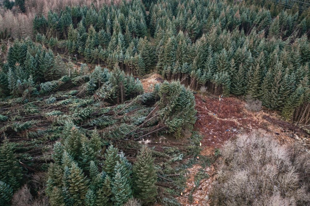 An aerial view of fallen trees and the damage they've caused to the network near Lochgilphead 