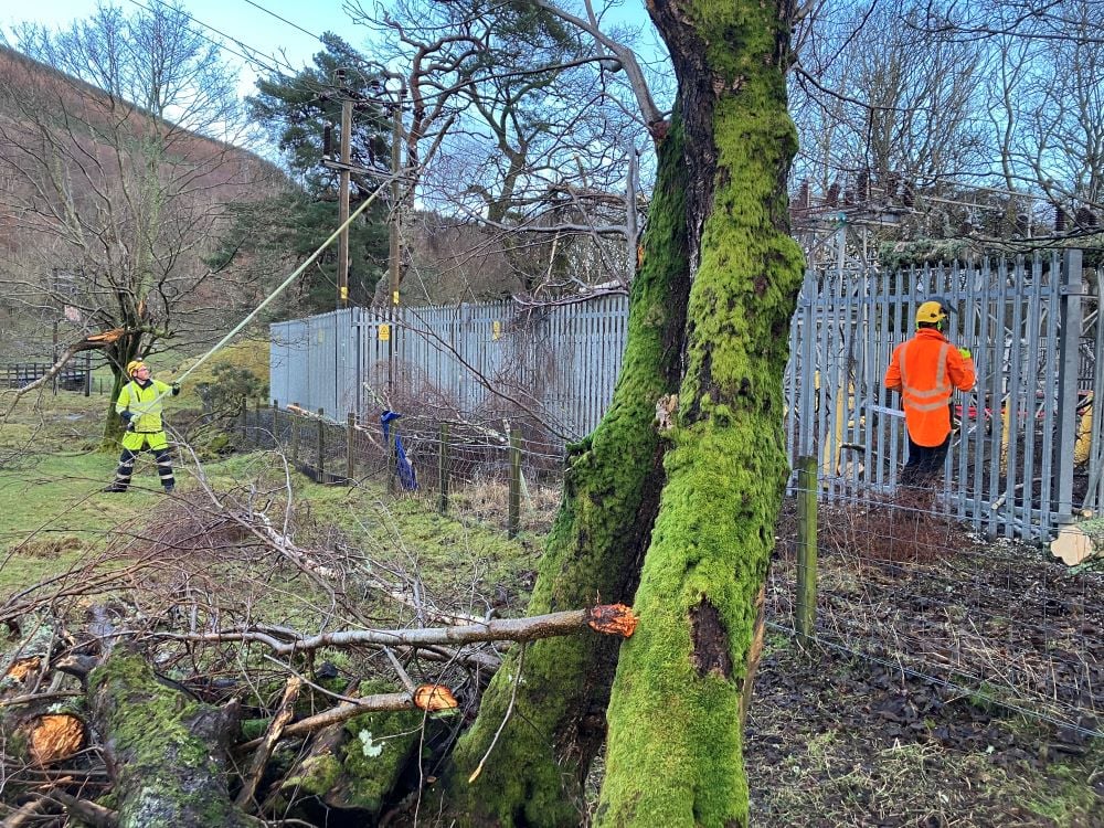 Specialists carry out work to clear damaged trees from the network at Lochearnhead