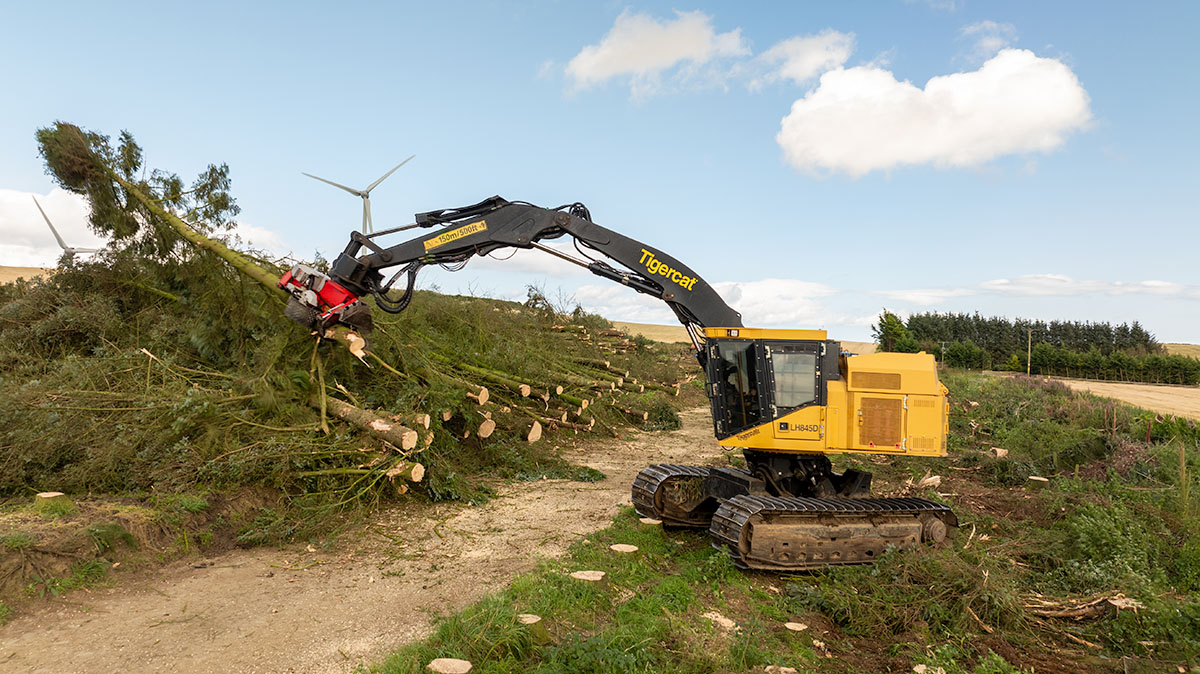 Tigercat live line harvesting