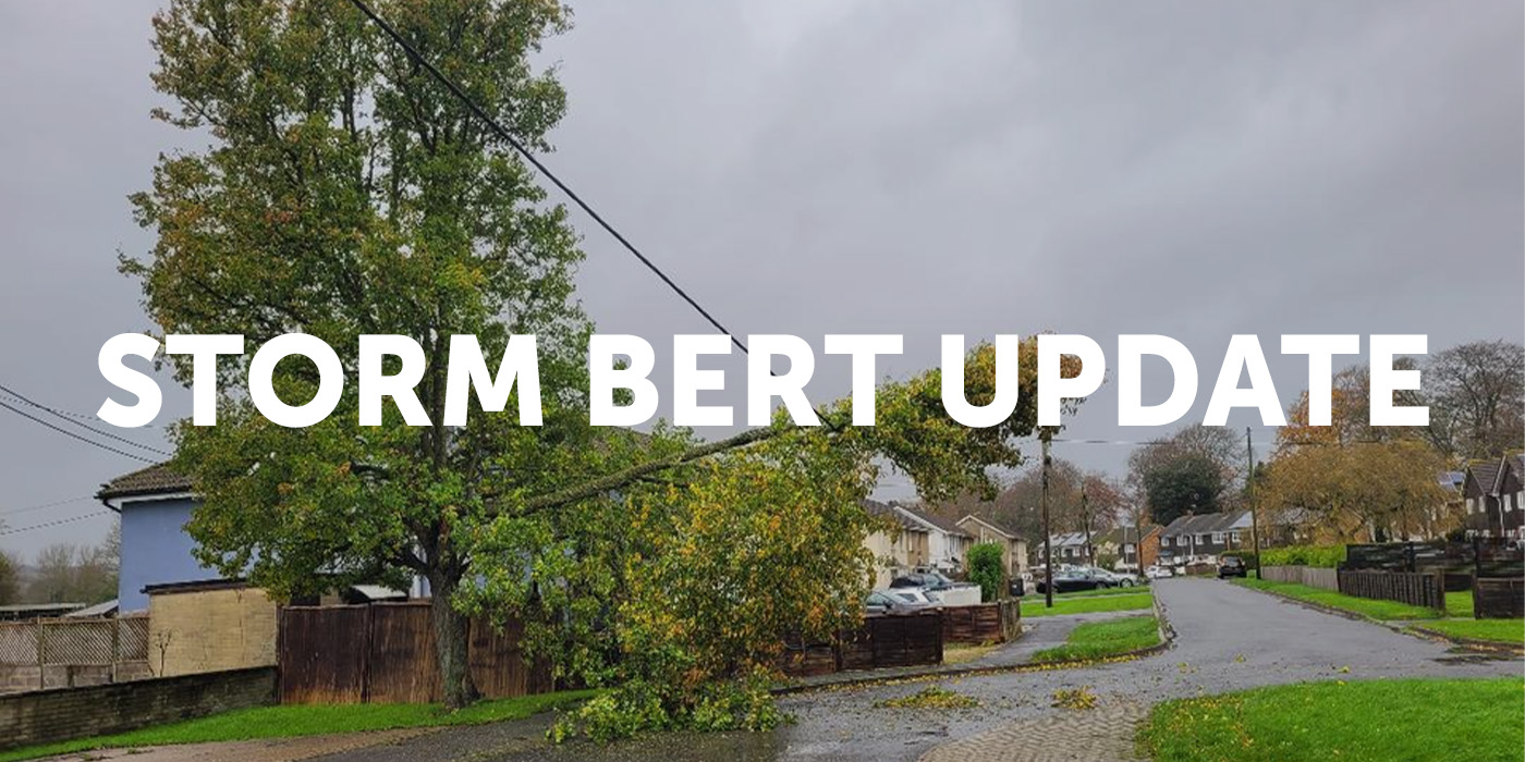 Tree striking power line during Storm Bert