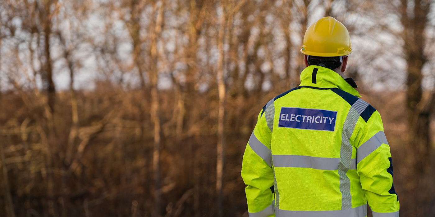 Image of SSEN engineer standing in forest