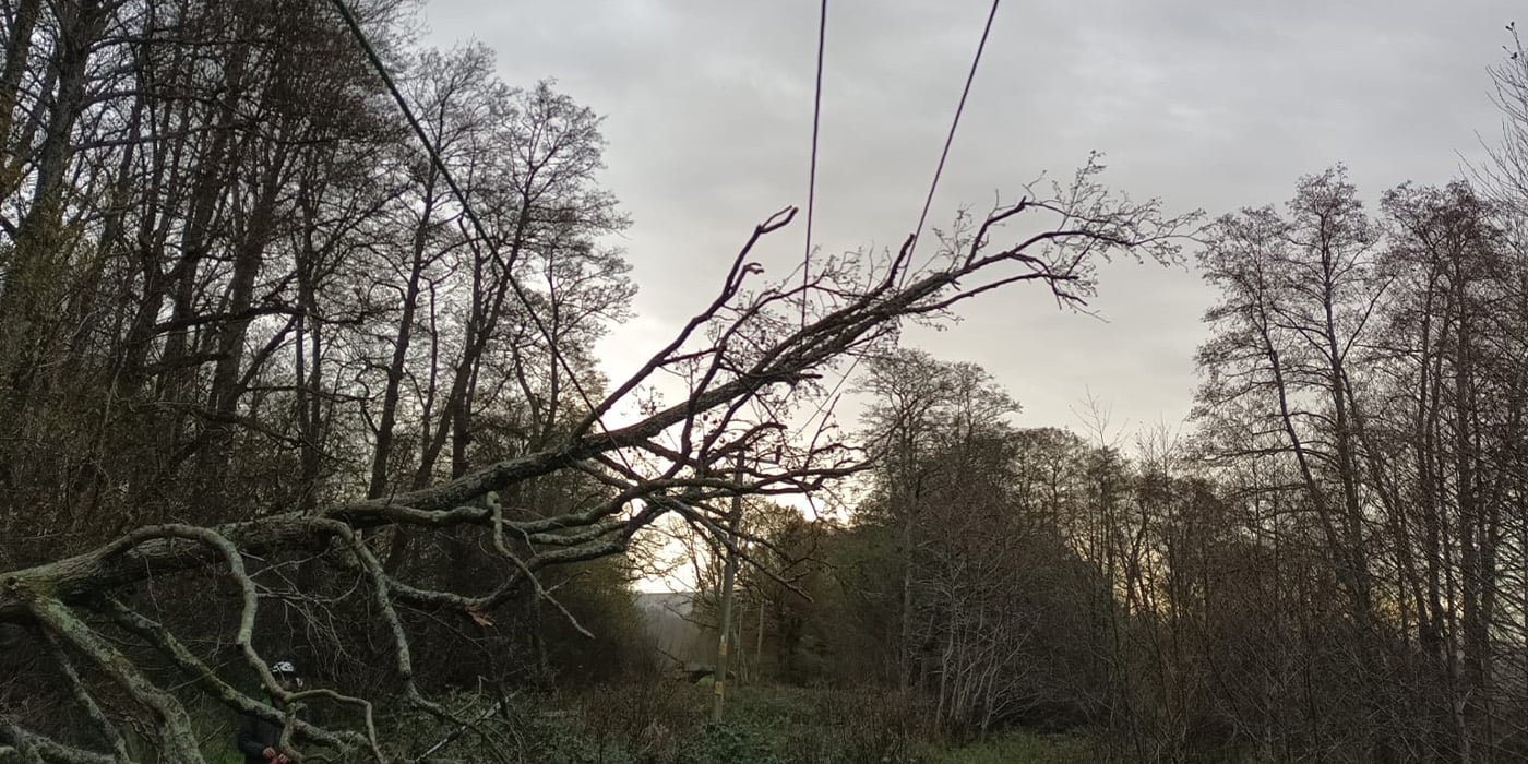 Tree fallen on power line during Storm Bert