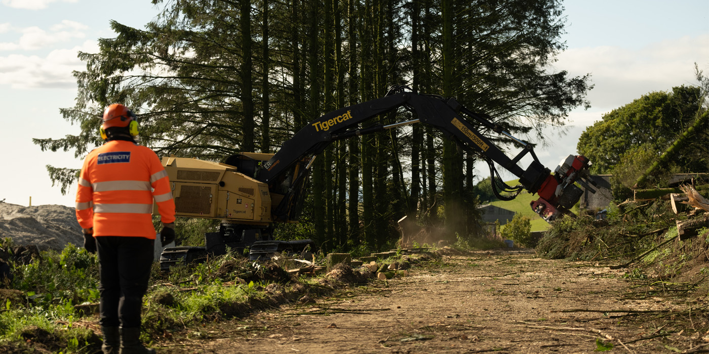 Tiger cat live line harvesting