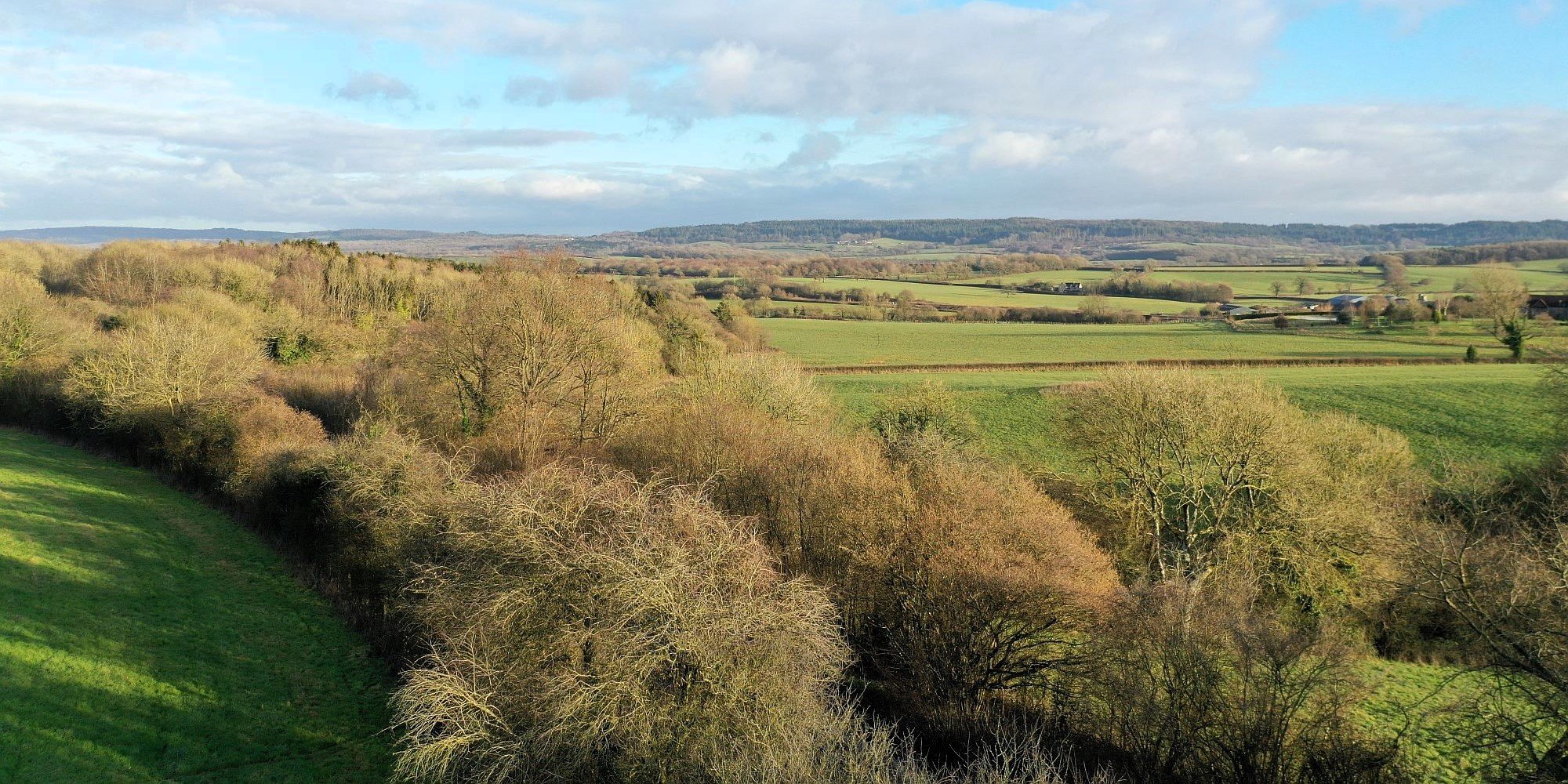 An aerial image of the Heal Woodland in Somerset