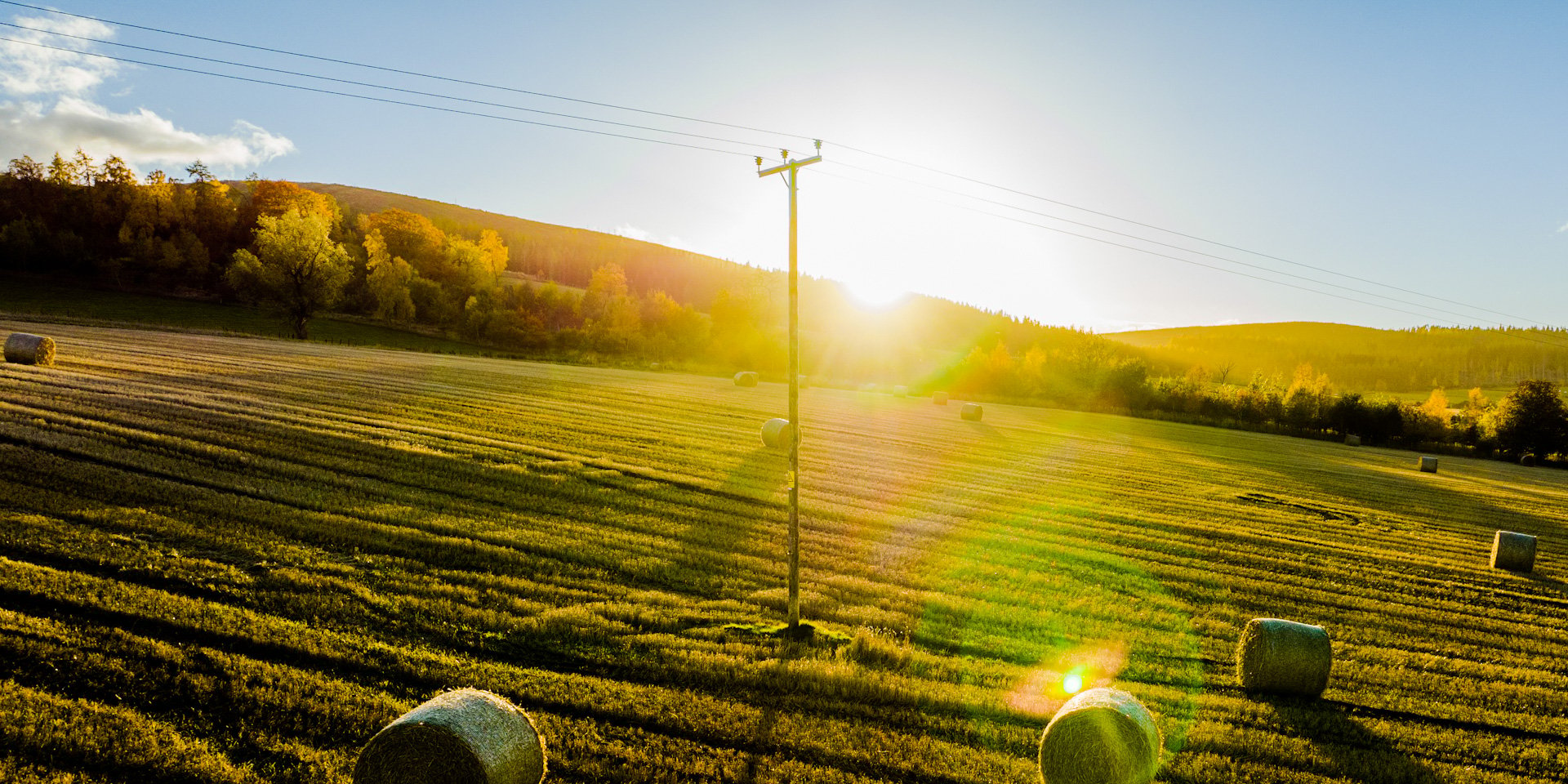 A picture of SSEN's distribution network showing lines and poles running through a field in the evneing